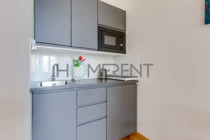Pronájem bytu 1+kk, Praha - Vinohrady, Lublaňská, 25 m2