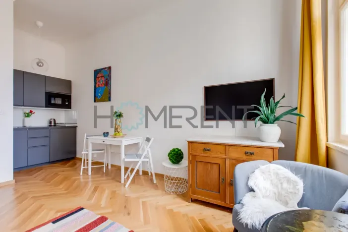 Pronájem bytu 1+kk, Praha - Vinohrady, Lublaňská, 25 m2