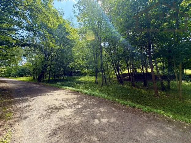Prodej pozemku pro bydlení, Planá - Kříženec, 4165 m2