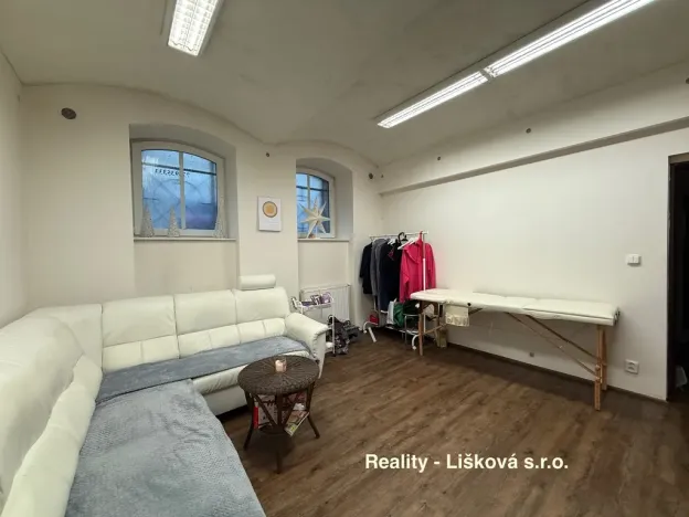 Pronájem komerční nemovitosti, Ústí nad Labem - Ústí nad Labem-centrum, Thomayerova, 50 m2