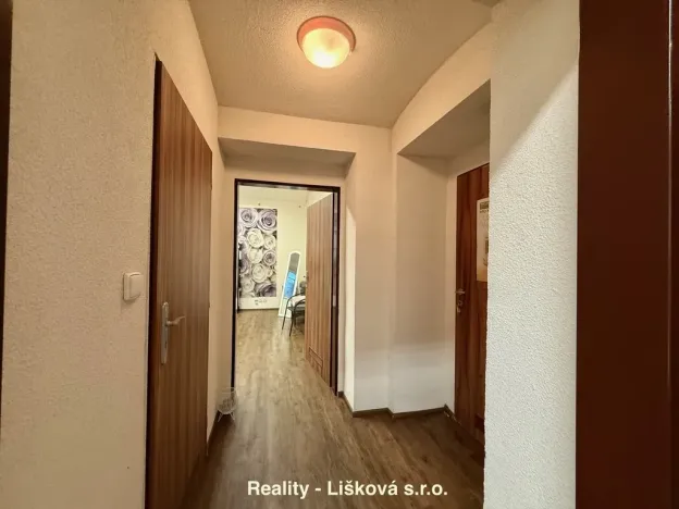 Pronájem komerční nemovitosti, Ústí nad Labem - Ústí nad Labem-centrum, Thomayerova, 50 m2