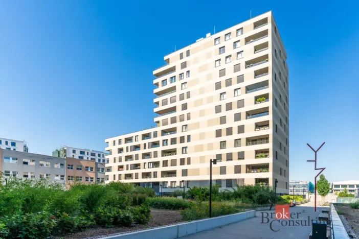 Prodej bytu 2+kk, Praha - Vysočany, Pechmanových, 54 m2