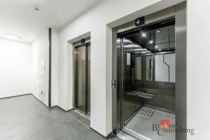 Prodej bytu 2+kk, Praha - Vysočany, Pechmanových, 54 m2
