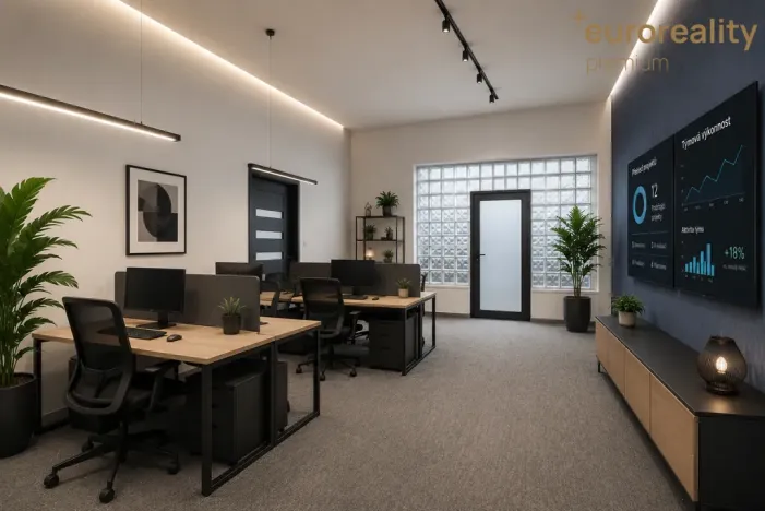 Prodej vícegeneračního domu, Sokolov, U Divadla, 360 m2