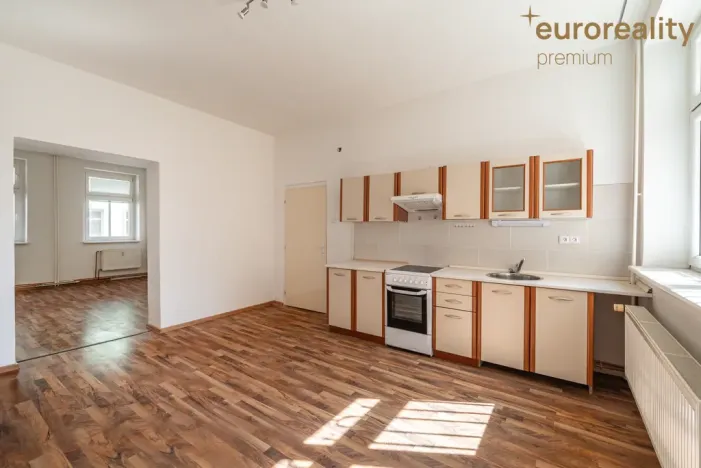 Prodej vícegeneračního domu, Sokolov, U Divadla, 360 m2