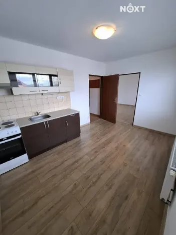 Prodej bytu 1+1, Borotín, 47 m2