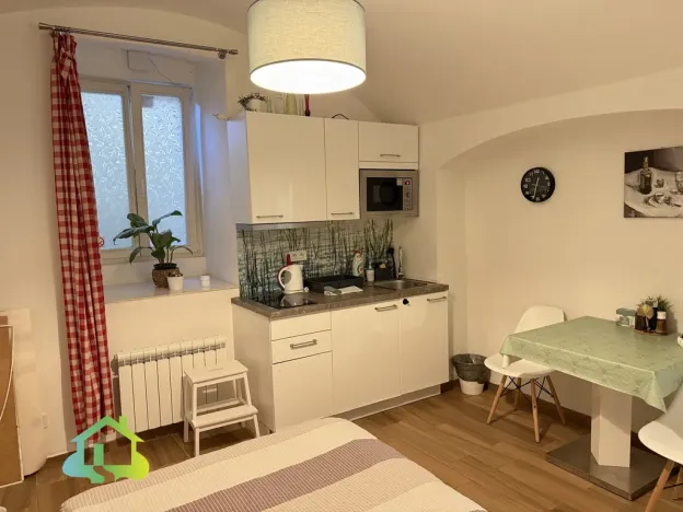 Pronájem bytu 1+kk, Praha - Nové Město, Washingtonova, 25 m2
