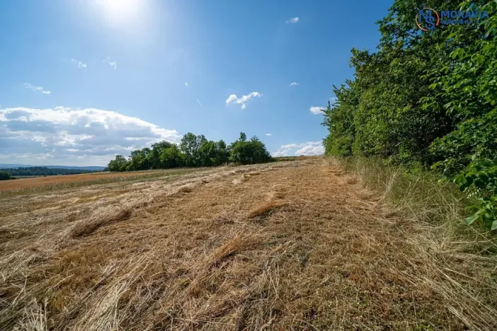 Prodej pozemku pro bydlení, Mohelnice, 481 m2