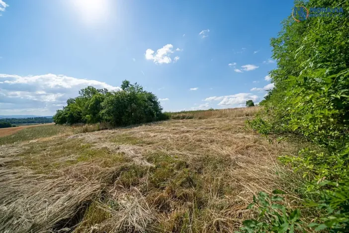 Prodej pozemku pro bydlení, Mohelnice, 481 m2