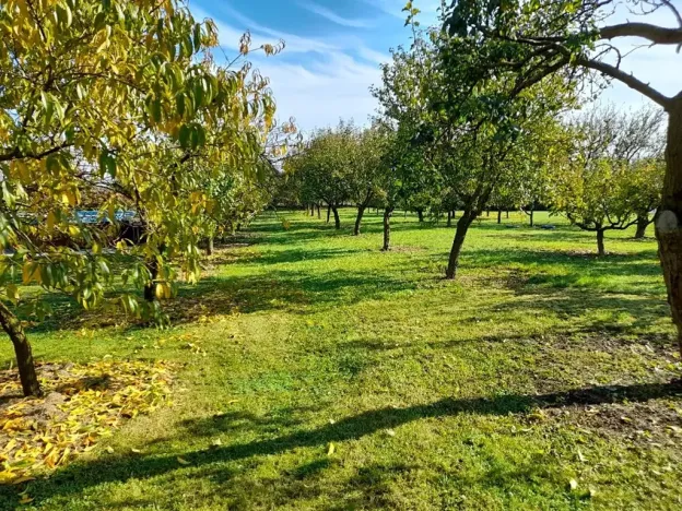 Prodej rodinného domu, Bříza, 164 m2