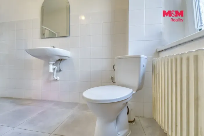 Prodej rodinného domu, Bor, Vítězná, 180 m2