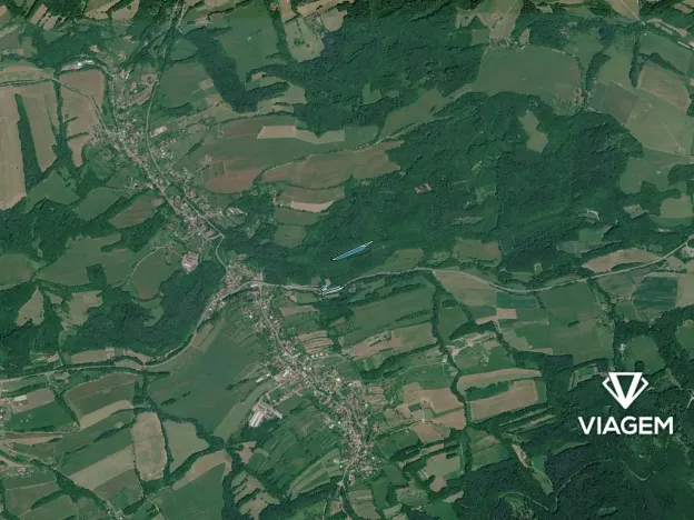 Prodej lesa, Bratřejov, 4108 m2