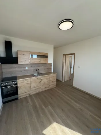 Pronájem bytu 1+1, Chomutov, Pod Břízami, 36 m2