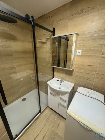 Pronájem bytu 1+1, Chomutov, Pod Břízami, 36 m2