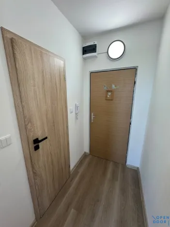 Pronájem bytu 1+1, Chomutov, Pod Břízami, 36 m2