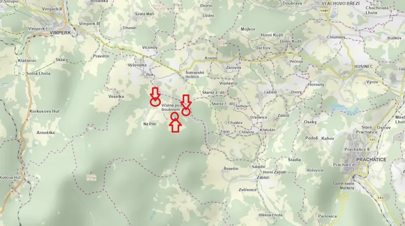 Prodej lesa, Buk, 8674 m2