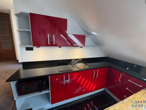 Pronájem bytu 1+kk, Chomutov, Kukaňova, 55 m2
