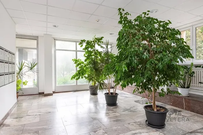 Prodej bytu 4+kk, Praha - Strašnice, Limuzská, 70 m2