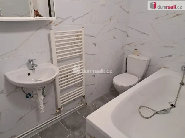 Pronájem bytu 1+1, Ústí nad Labem - Střekov, Mánesova, 25 m2