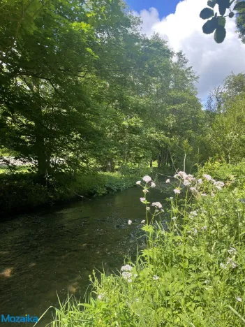 Prodej chalupy, Štíty, Na Pile, 141 m2