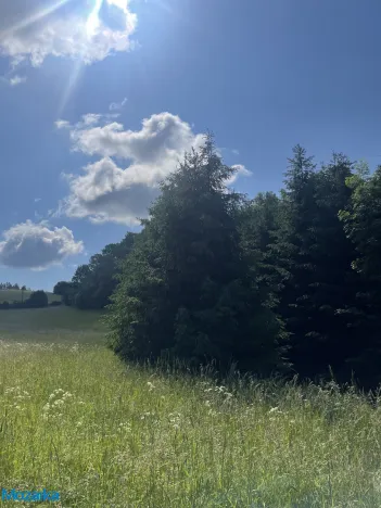 Prodej chalupy, Štíty, Na Pile, 141 m2