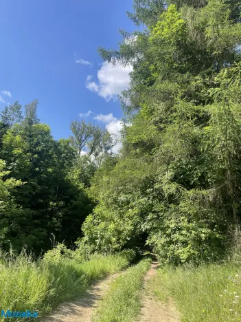 Prodej chalupy, Štíty, Na Pile, 141 m2