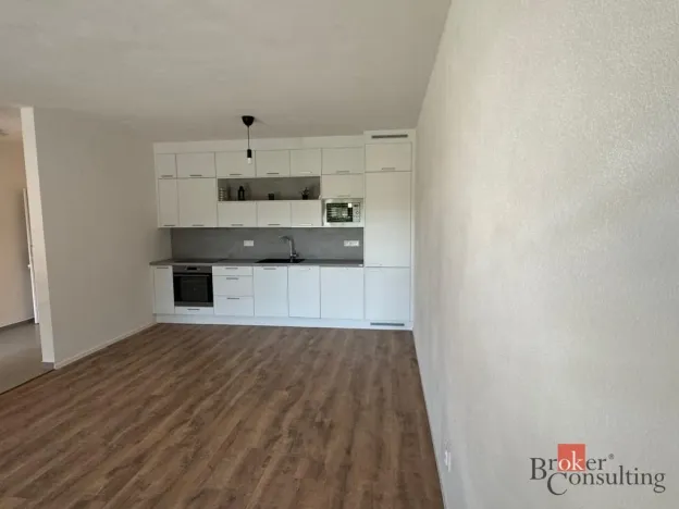 Pronájem bytu 2+kk, Plzeň - Východní Předměstí, Kartónová, 56 m2