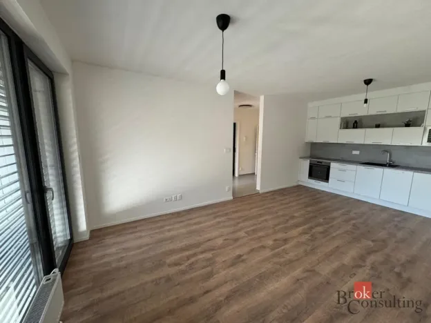 Pronájem bytu 2+kk, Plzeň - Východní Předměstí, Kartónová, 56 m2