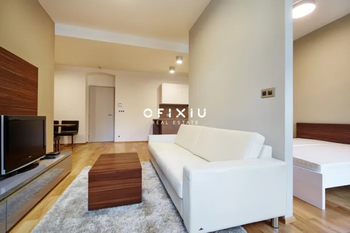 Pronájem bytu 2+kk, Brno - Brno-město, Jakubská, 82 m2