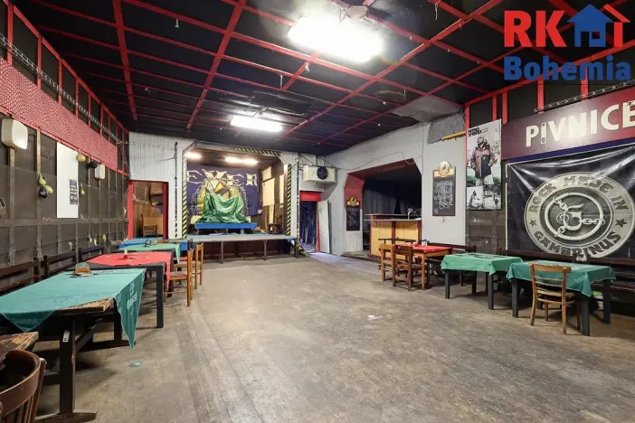 Prodej rodinného domu, Kolín, Veltrubská, 411 m2