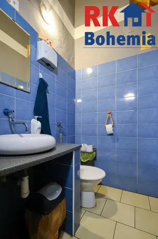 Prodej rodinného domu, Kolín, Veltrubská, 411 m2