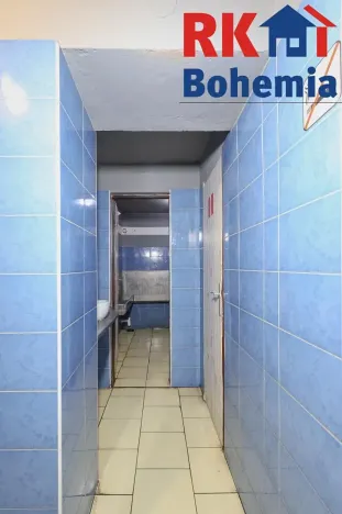 Prodej rodinného domu, Kolín, Veltrubská, 411 m2