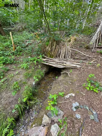 Prodej rybníku, Dačice, 25771 m2