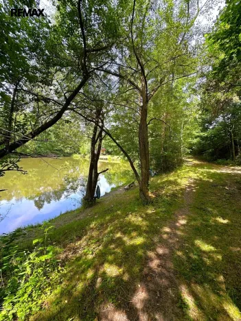 Prodej rybníku, Dačice, 25771 m2