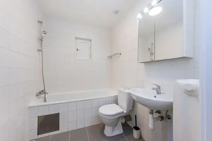 Pronájem bytu 1+kk, Praha - Karlín, Vítkova, 29 m2