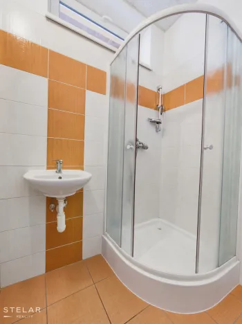 Pronájem obchodního prostoru, Opava, Rybářská, 160 m2