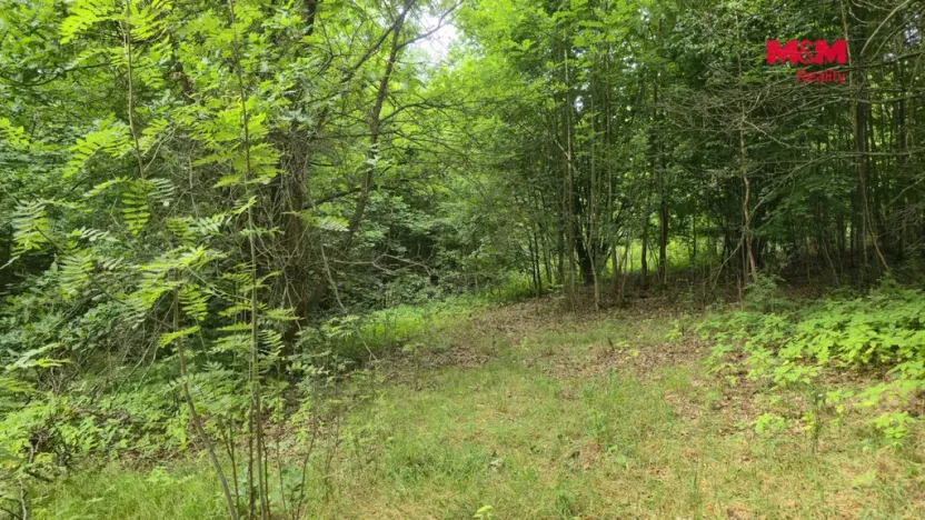 Prodej zahrady, Liberec, V Lučinách, 1050 m2
