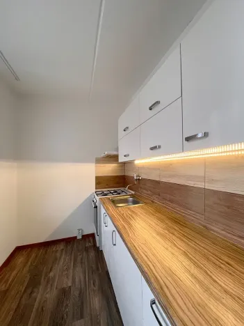 Pronájem bytu 2+1, Chomutov, Skalková, 51 m2