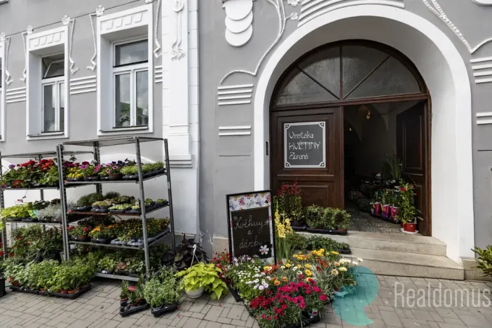 Pronájem obchodního prostoru, Trhové Sviny, Žižkovo náměstí, 75 m2