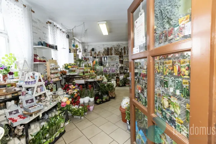 Pronájem obchodního prostoru, Trhové Sviny, Žižkovo náměstí, 75 m2