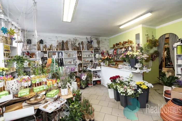 Pronájem obchodního prostoru, Trhové Sviny, Žižkovo náměstí, 75 m2