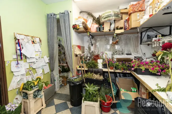 Pronájem obchodního prostoru, Trhové Sviny, Žižkovo náměstí, 75 m2