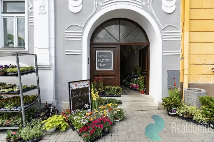 Pronájem obchodního prostoru, Trhové Sviny, Žižkovo náměstí, 75 m2