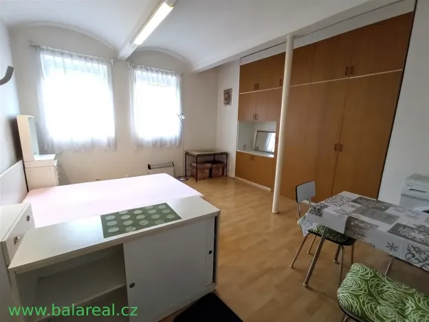 Pronájem bytu 1+1, Brno, 24 m2