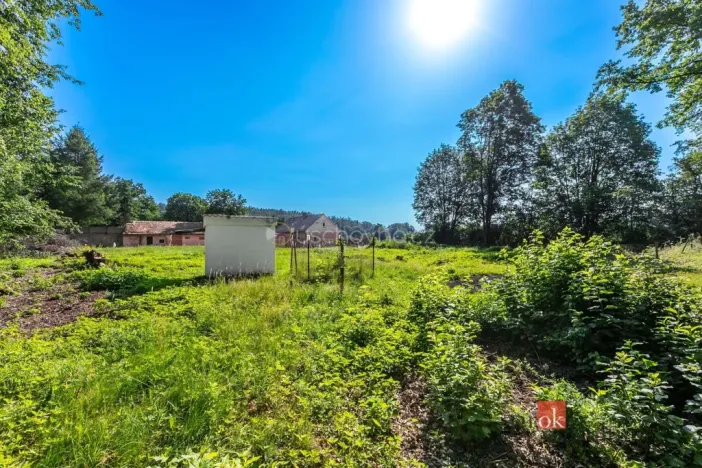 Prodej pozemku, Horšovský Týn - Plzeňské Předměstí, Plzeňská, 1256 m2
