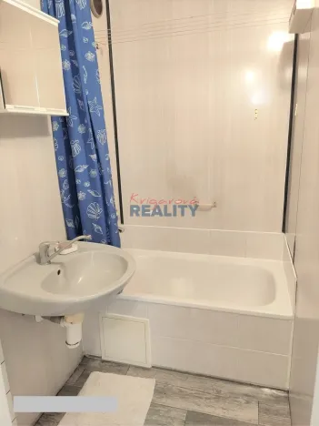 Pronájem bytu 1+1, České Budějovice - České Budějovice 2, Krčínova, 43 m2