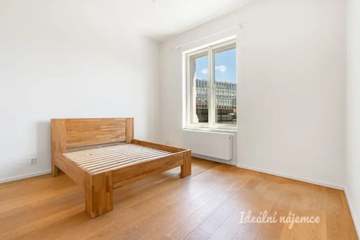 Pronájem bytu 3+kk, Praha - Nové Město, Na Moráni, 94 m2
