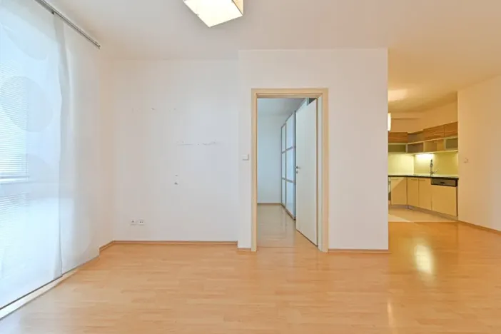 Pronájem bytu 3+kk, Brno, Černého, 61 m2