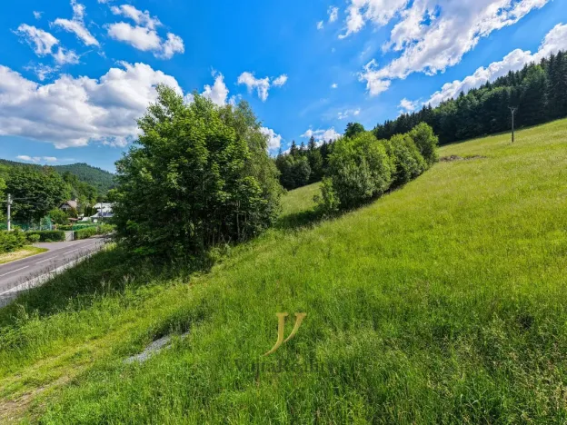Prodej pozemku pro bydlení, Ludvíkov, 3999 m2