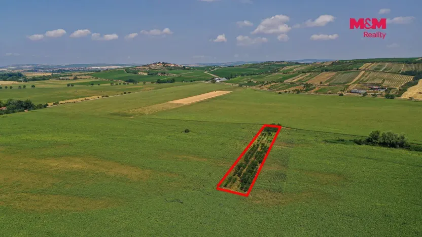 Prodej pole, Zaječí, 14490 m2